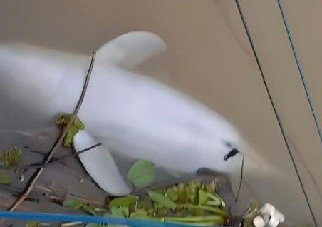 Trump menunjukkan tanda tangan yang dibubuhkan dirinya pada RUU yang mengakhiri shutdown pemerintah AS. Foto:Ist