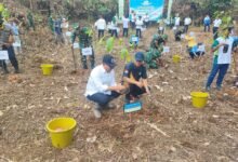 Pemerintah Kota Samarinda bersama PT United Tractors serta sejumlah instansi lintas sektor menggelar kegiatan penanaman ratusan pohon di Taman Kehati(12/11/2025). Foto:Ist